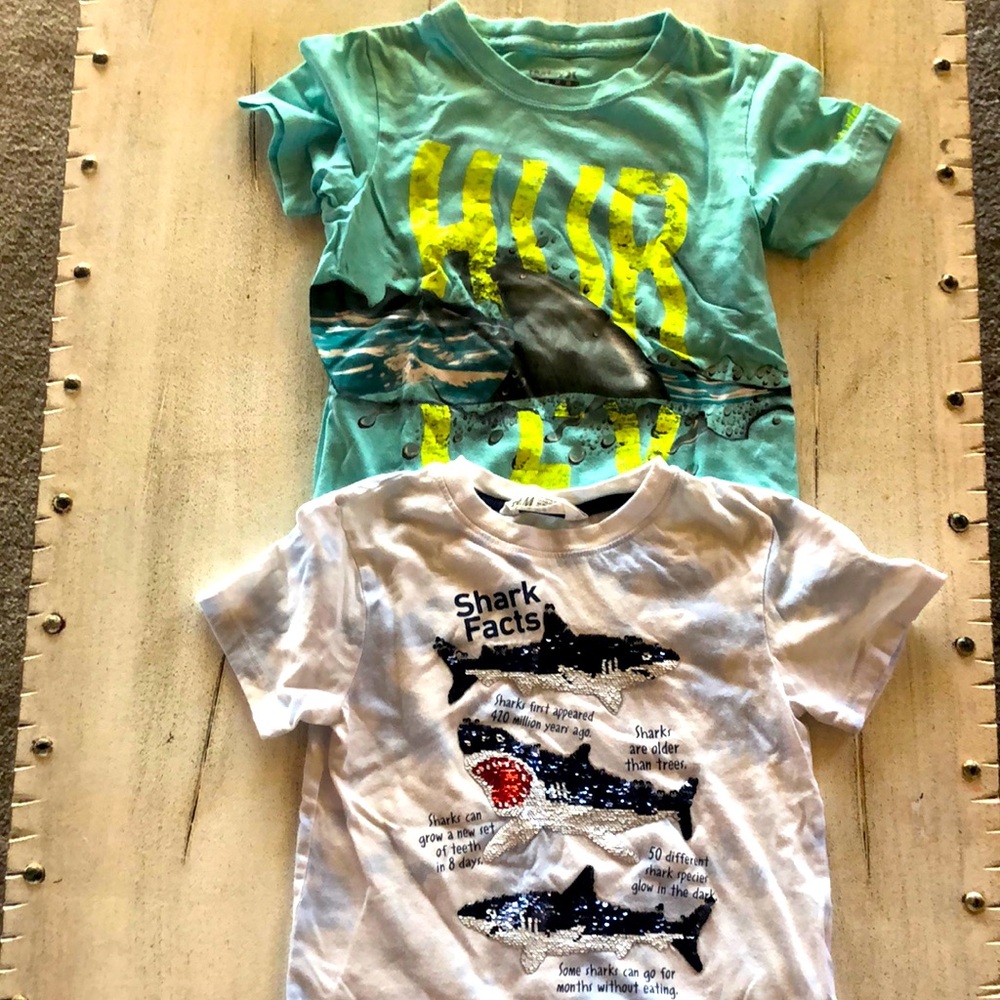 Shark bundle Boys shirt size 6 shark 🦈